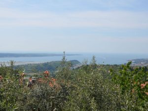 View over the Bay of Piran